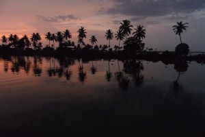 Romantic Honeymoon