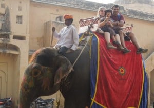 Elephant ride, Jaipur