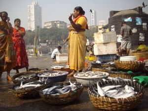 Fish auction at Sassoon Docks, Mumbai