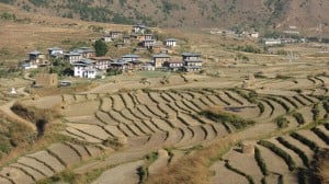 Punakha Valley, Bhutan