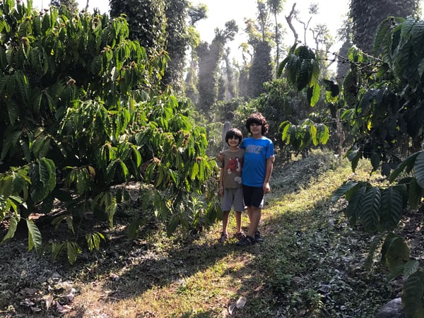 My sons, Alexander and Veer, exploring the grounds of Siddhanta Manor