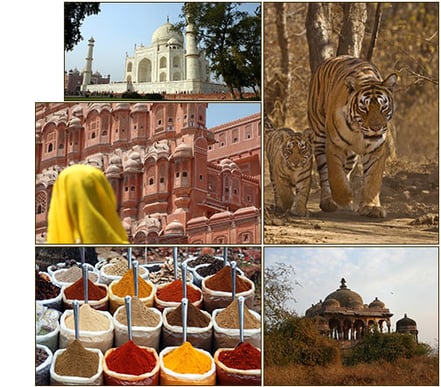 indiaTrail-mosaic.jpg