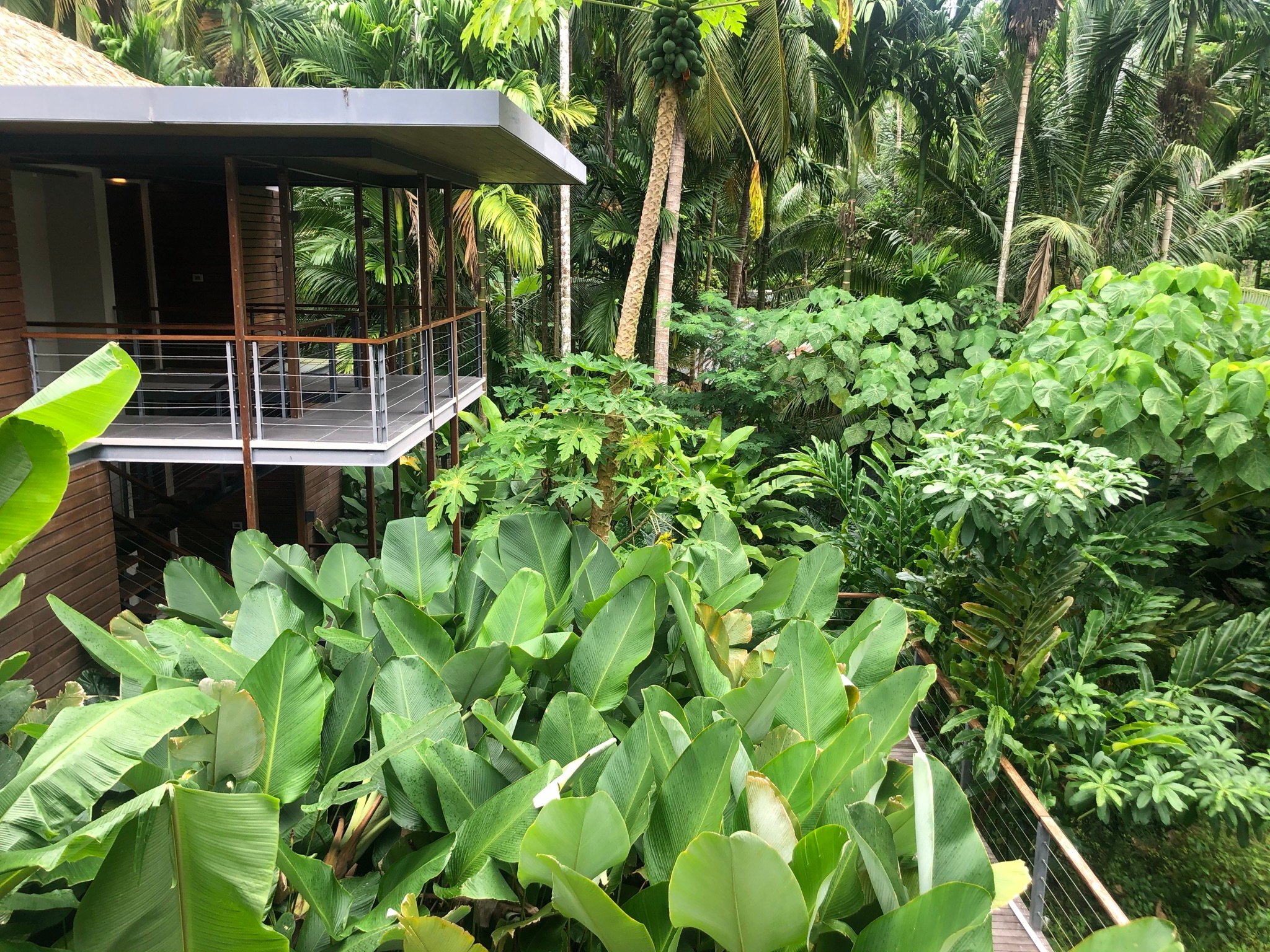 Stilted rooms in the seaside jungle at Tilar Siro Andamans