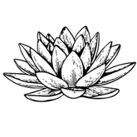 asset 8 1 (1)