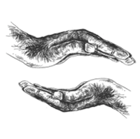 asset 8 1