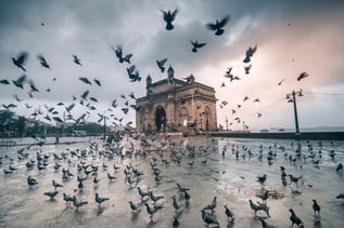gateway-of-india-mumbai-2021-09-01-00-35-44-utc (1)