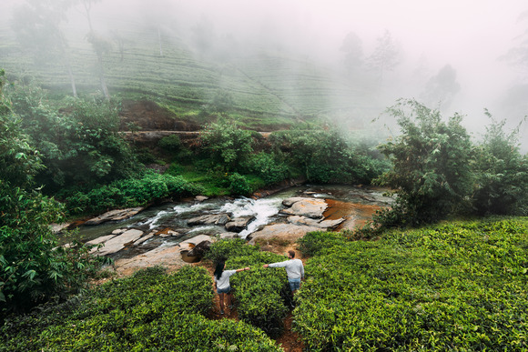 green-tea-plantations-in-the-mountains-couple-in-2021-12-09-08-35-24-utc (1)