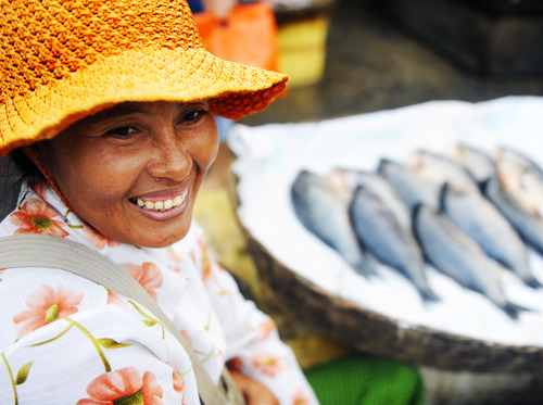 indigenous-cambodian-woman-selling-fish-in-a-marke-2022-12-16-00-24-50-utc (1)