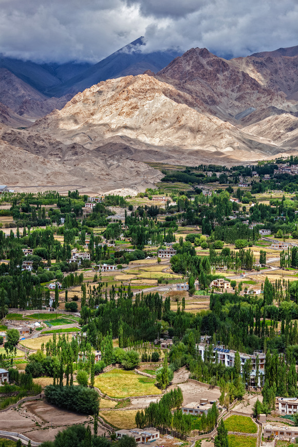 leh-city-in-himalayas-ladakh-india-2021-08-26-22-58-32-utc (1)