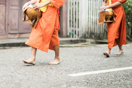 monks-in-laos-2022-11-14-10-47-22-utc (1)