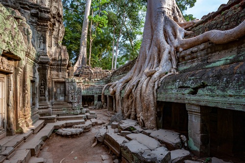 ta-prohm-angkor-wat-cambodia-2022-11-14-02-05-24-utc (1)