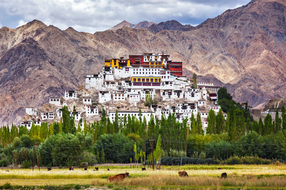 thiksey-gompa-ladakh-india-2022-02-02-05-06-31-utc (1)