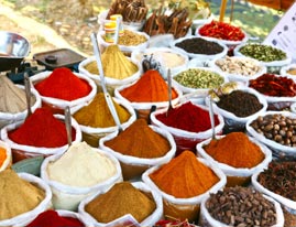 Taste of India