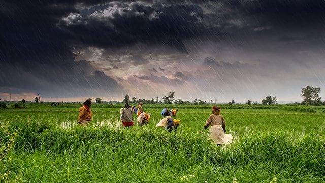 Monsoon in India. Photo courtesy of Rajarshi Mitra/Flickr.